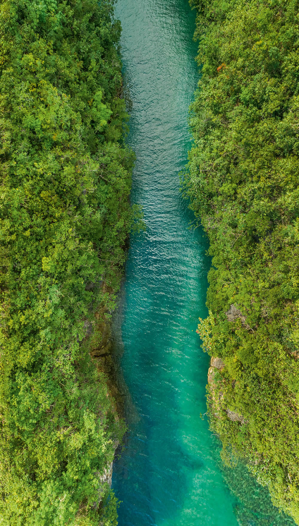  Mural 159 x 280 cm nature river jungle travel ML1401