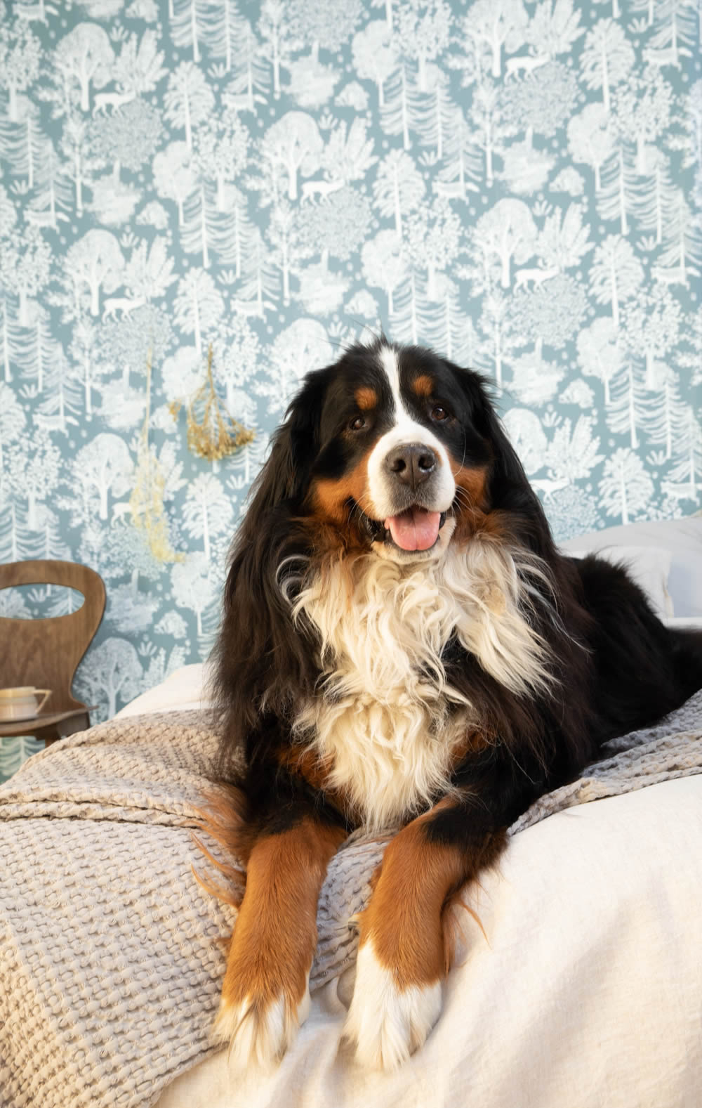 Nature motif wallpaper blue and white Caselio - La Foret Texdecor FRT102936033-36-FRT102936033.1M