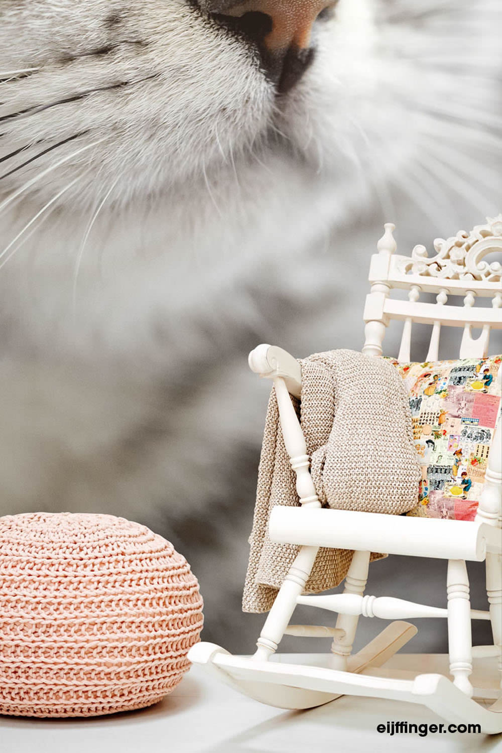 Cat mural non-woven grey-55-364123