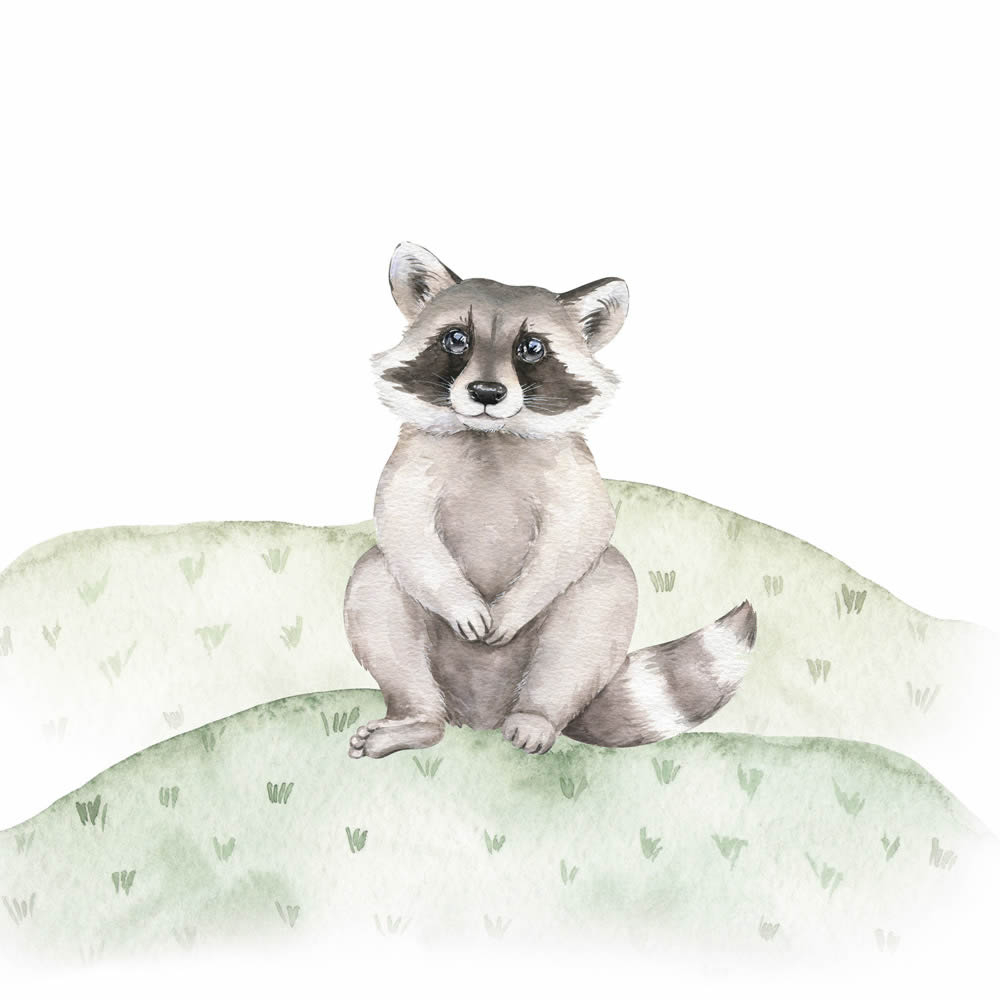 Leinwandbild Waschbär Wildtiere DD129432 30 x 30 cm