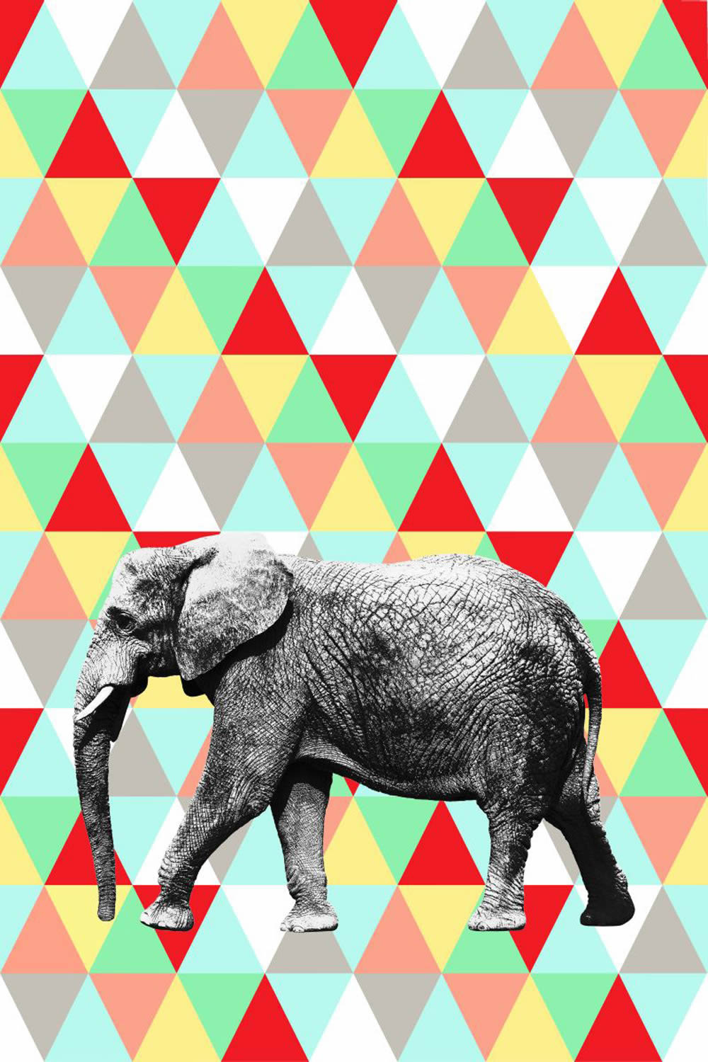Colorful elephant mural Xl-23-158707_2