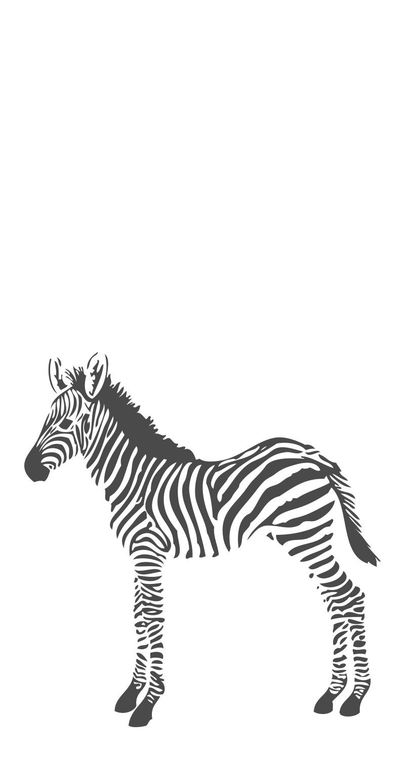 Wandbild Zebra schwarz weiß 150 x 279 cm 357217