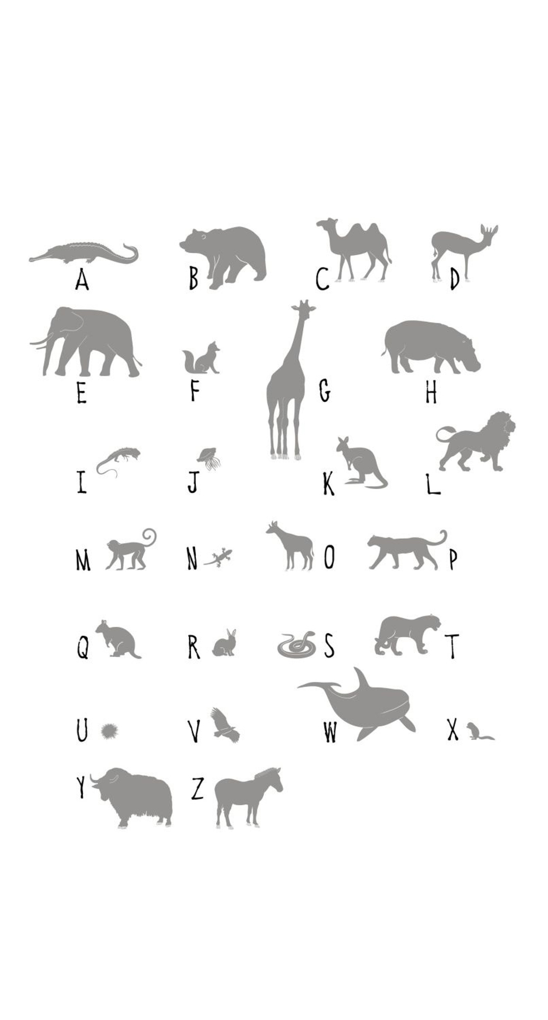 Wandbild Tier ABC Alphabet grau weiß 150 x 279 cm 158923