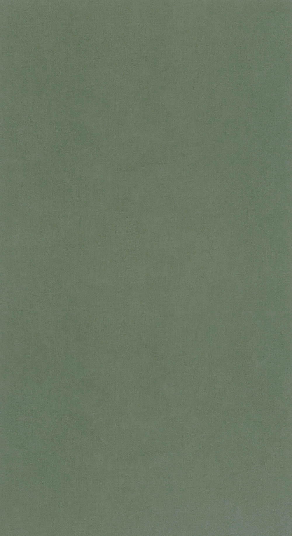 Unisex Green Wallpaper Caselio - Young and free Texdecor YNF64524044-36-YNF64524044.1M