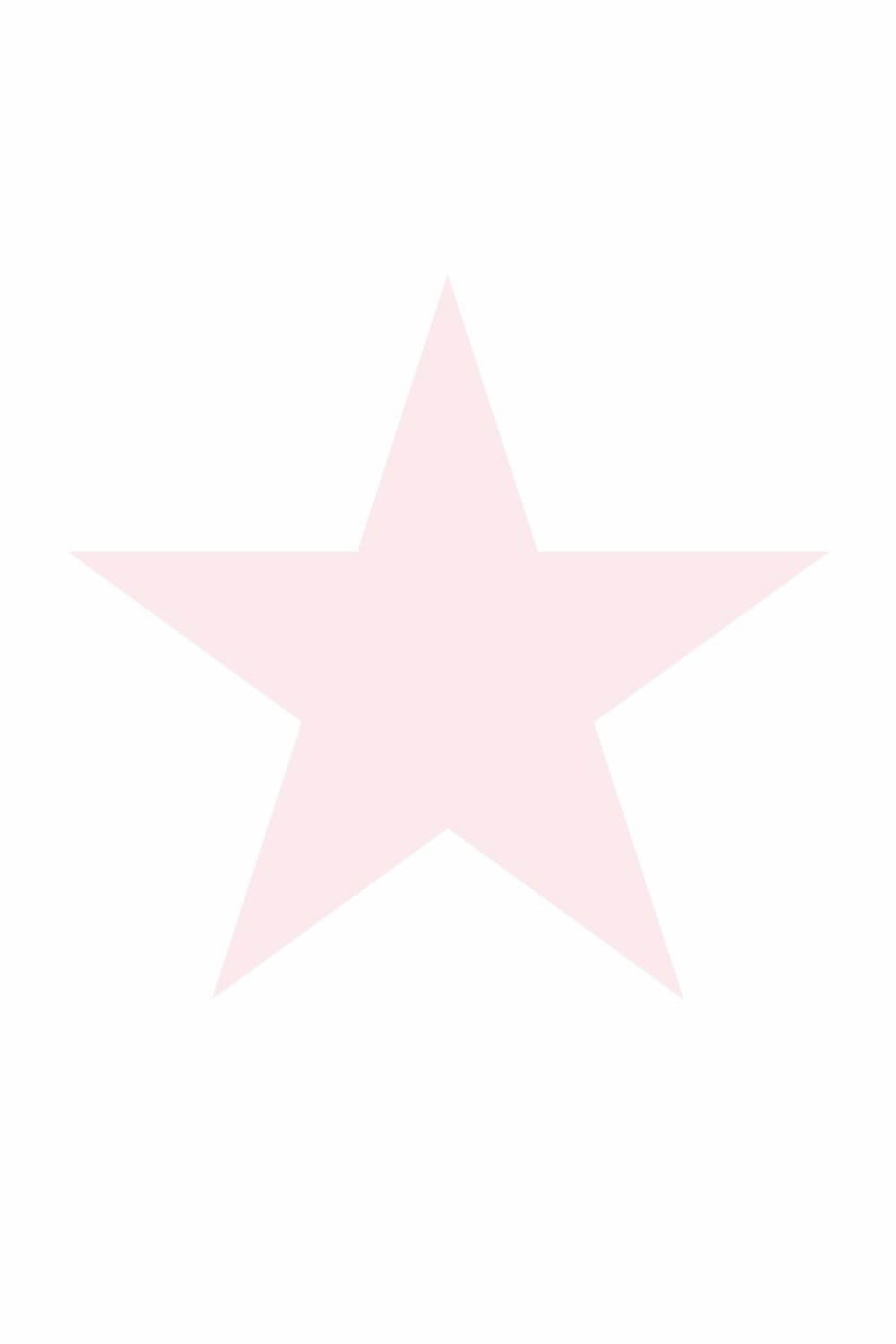 Star pink mural Xl-23-158851_2