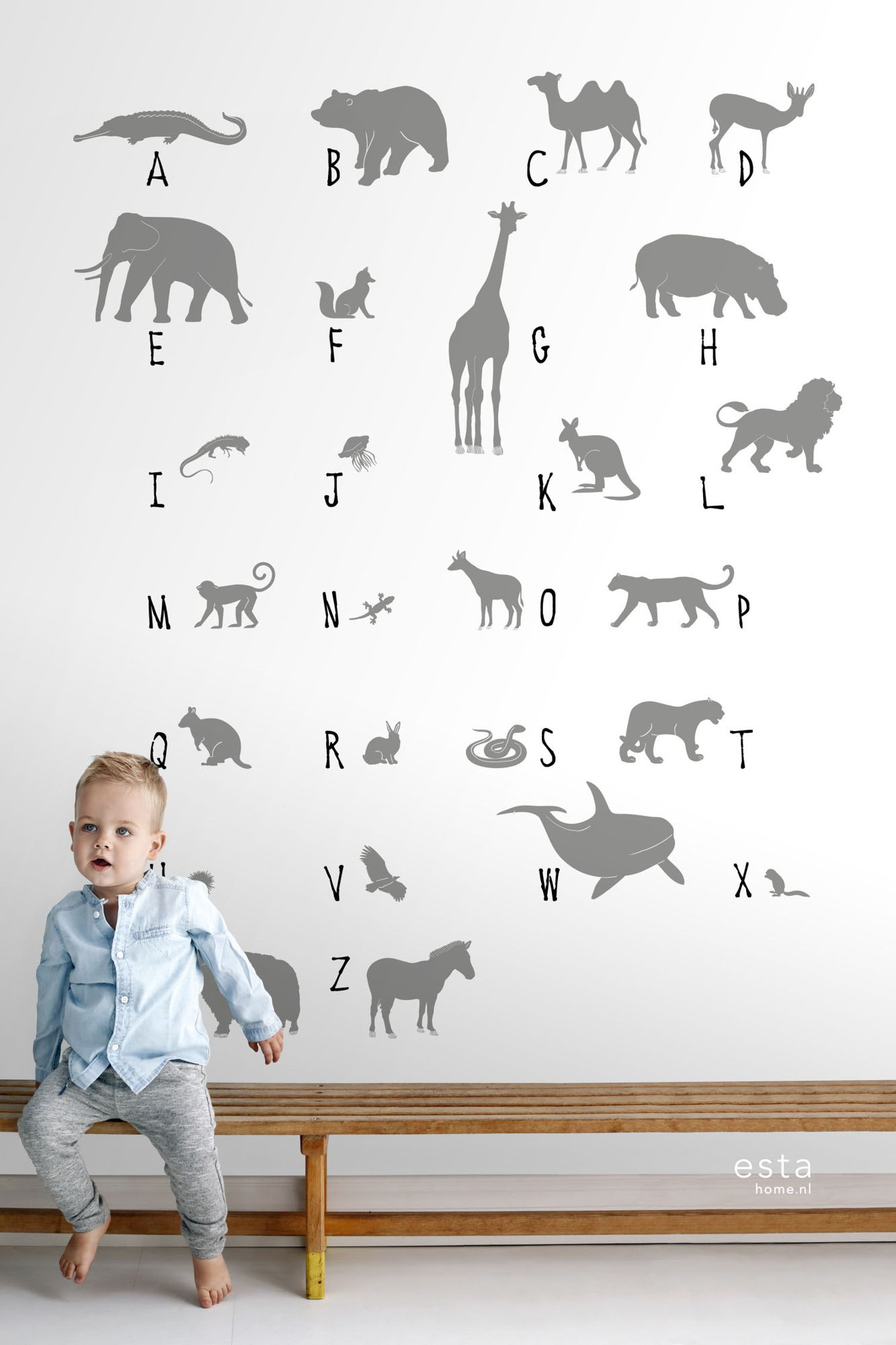 Wandbild Tier ABC Alphabet grau weiß 150 x 279 cm 158923