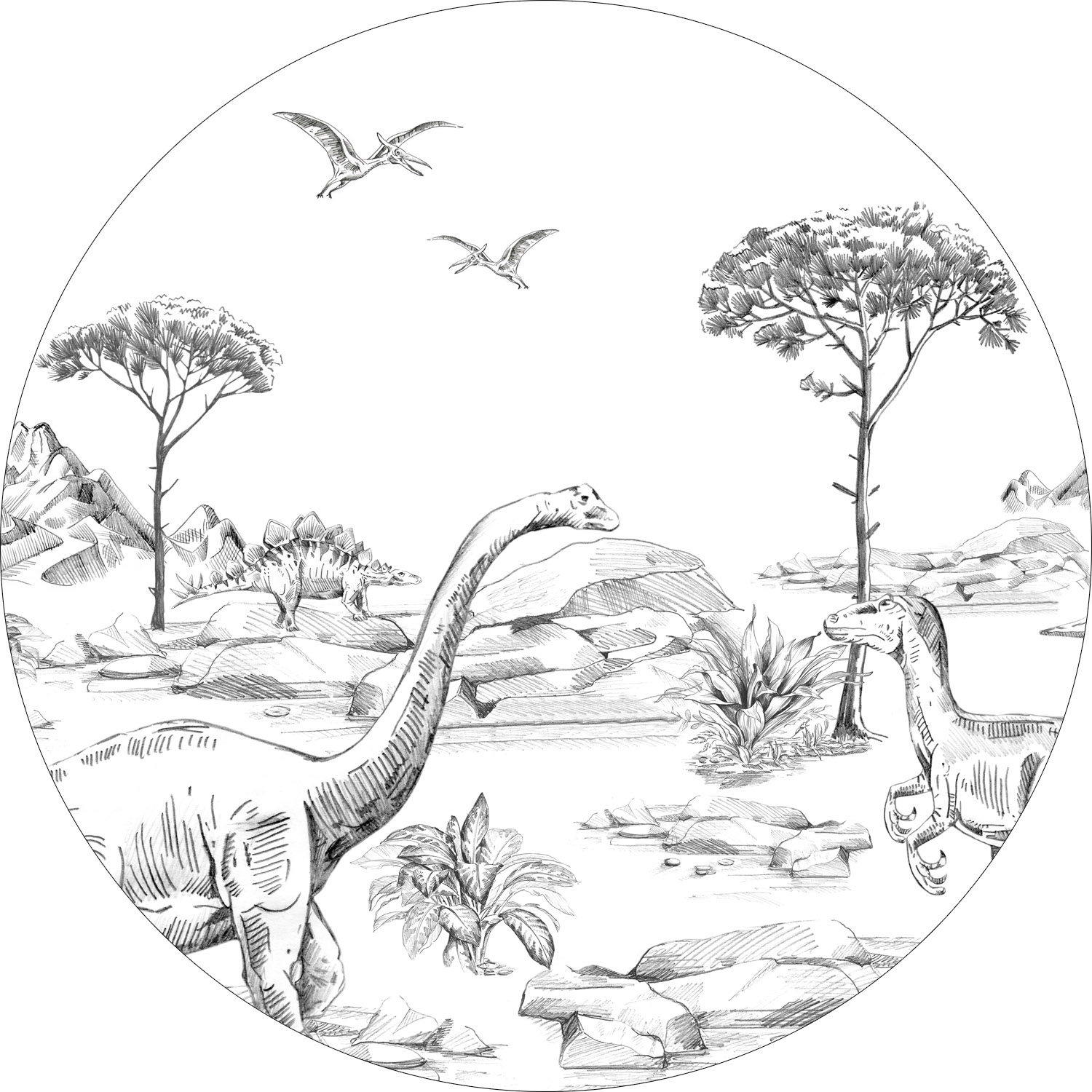Dino Wandbild schwarz weiß rund 70 cm Vlies 159073