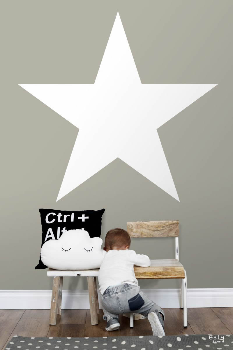 Star mural Grey Xl-23-158706_2