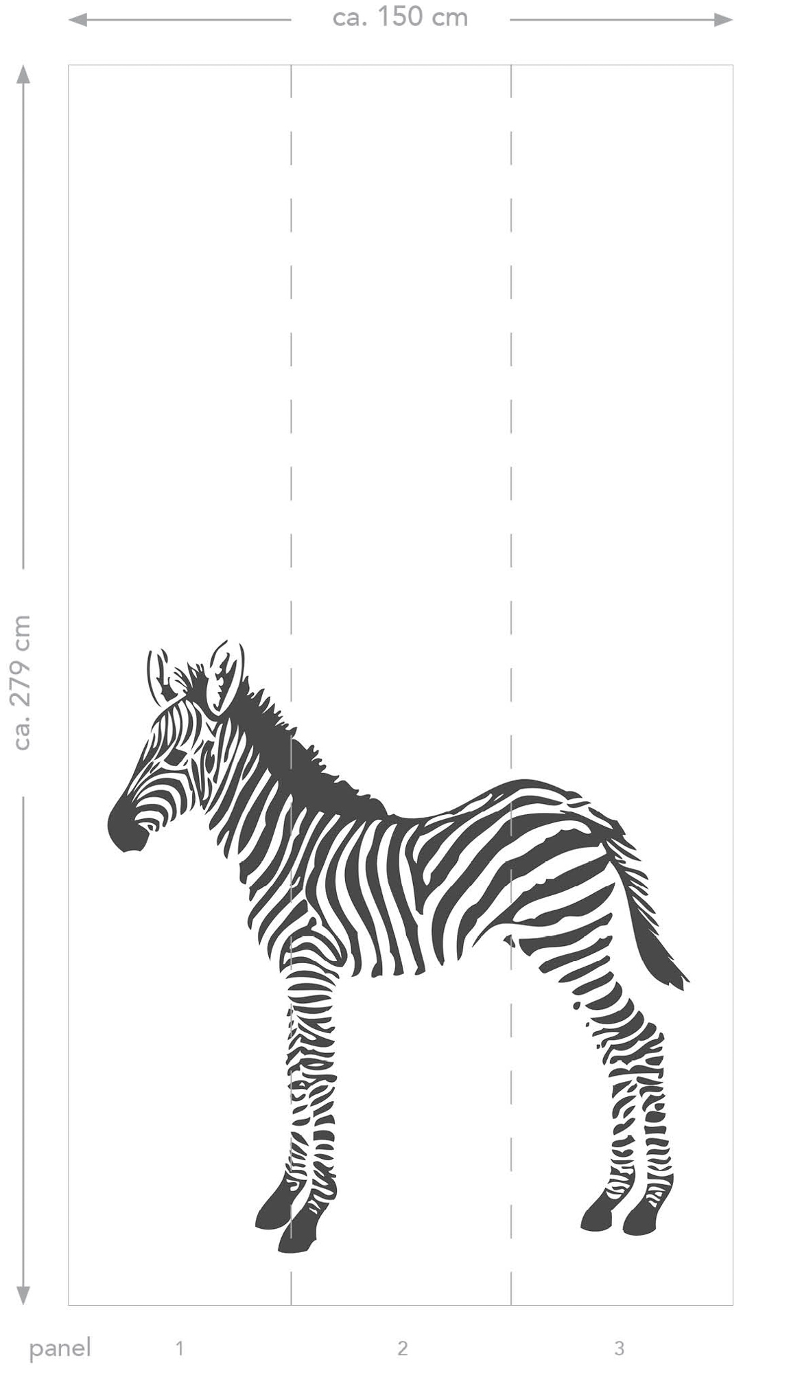 Wandbild Zebra schwarz weiß 150 x 279 cm 357217