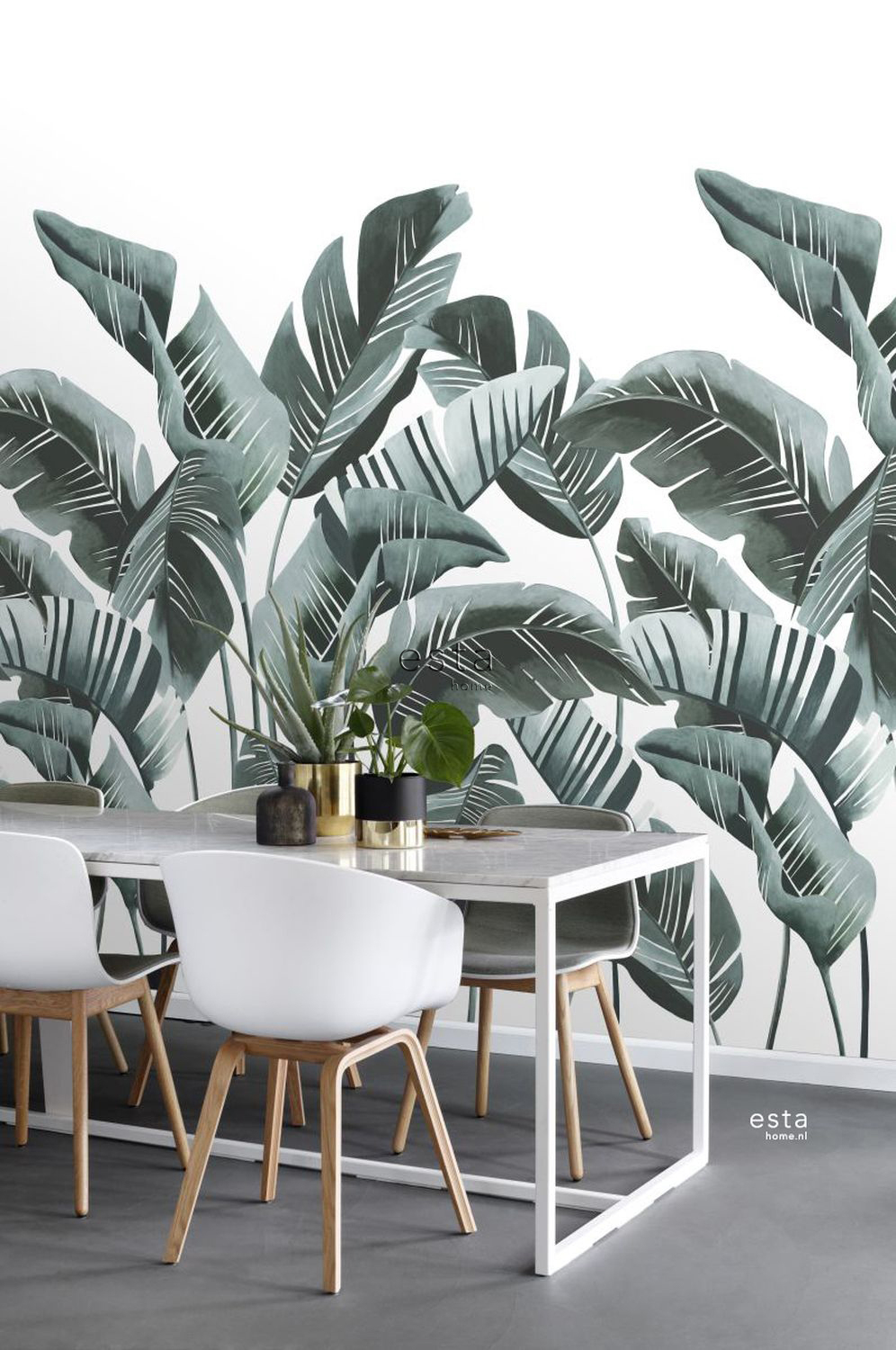 Wandbild Bananenblätter exotisch türkis 200 x 279 cm 158898