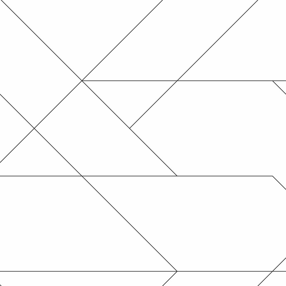 Tapete Vliestapete grafische Linien schwarz-weiß 139235