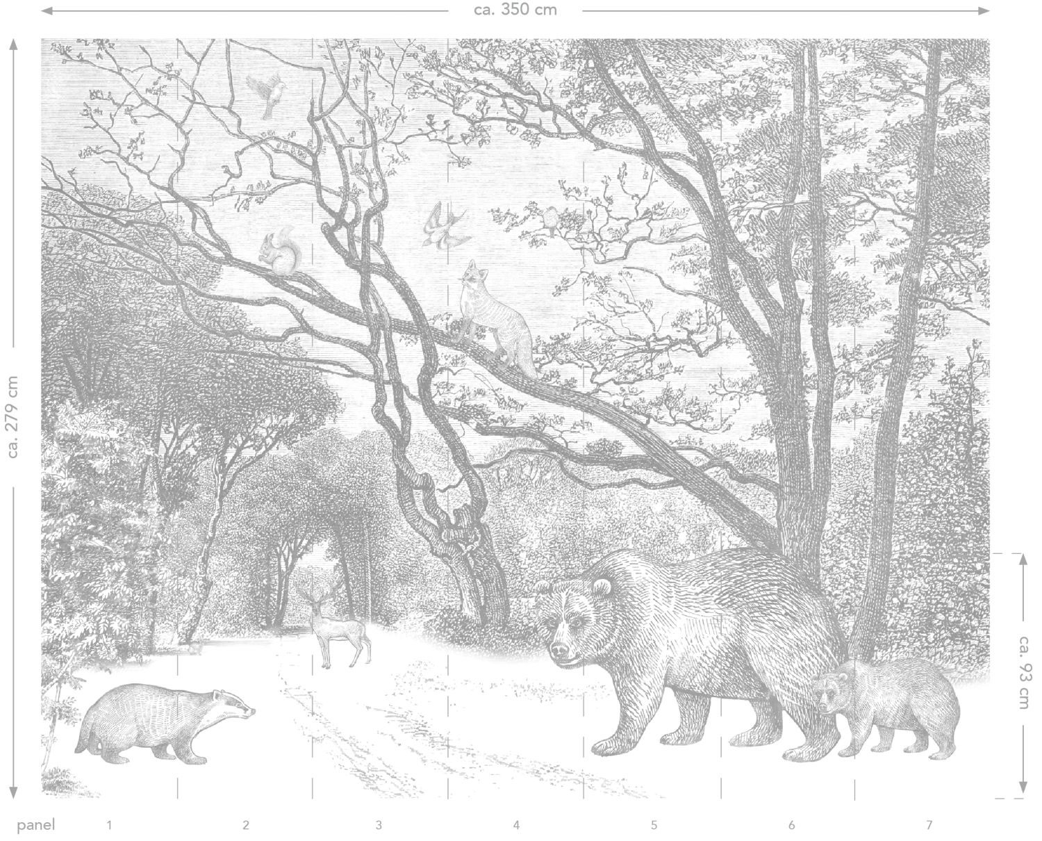 Waldtiere Wandbild Bären grau 350 x 279 cm 159065