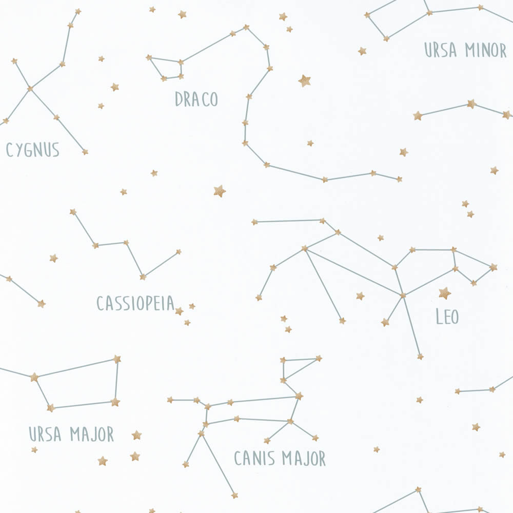 Wallpaper non-woven white constellations Caselio Our Planet-36-OUP101917125.1M