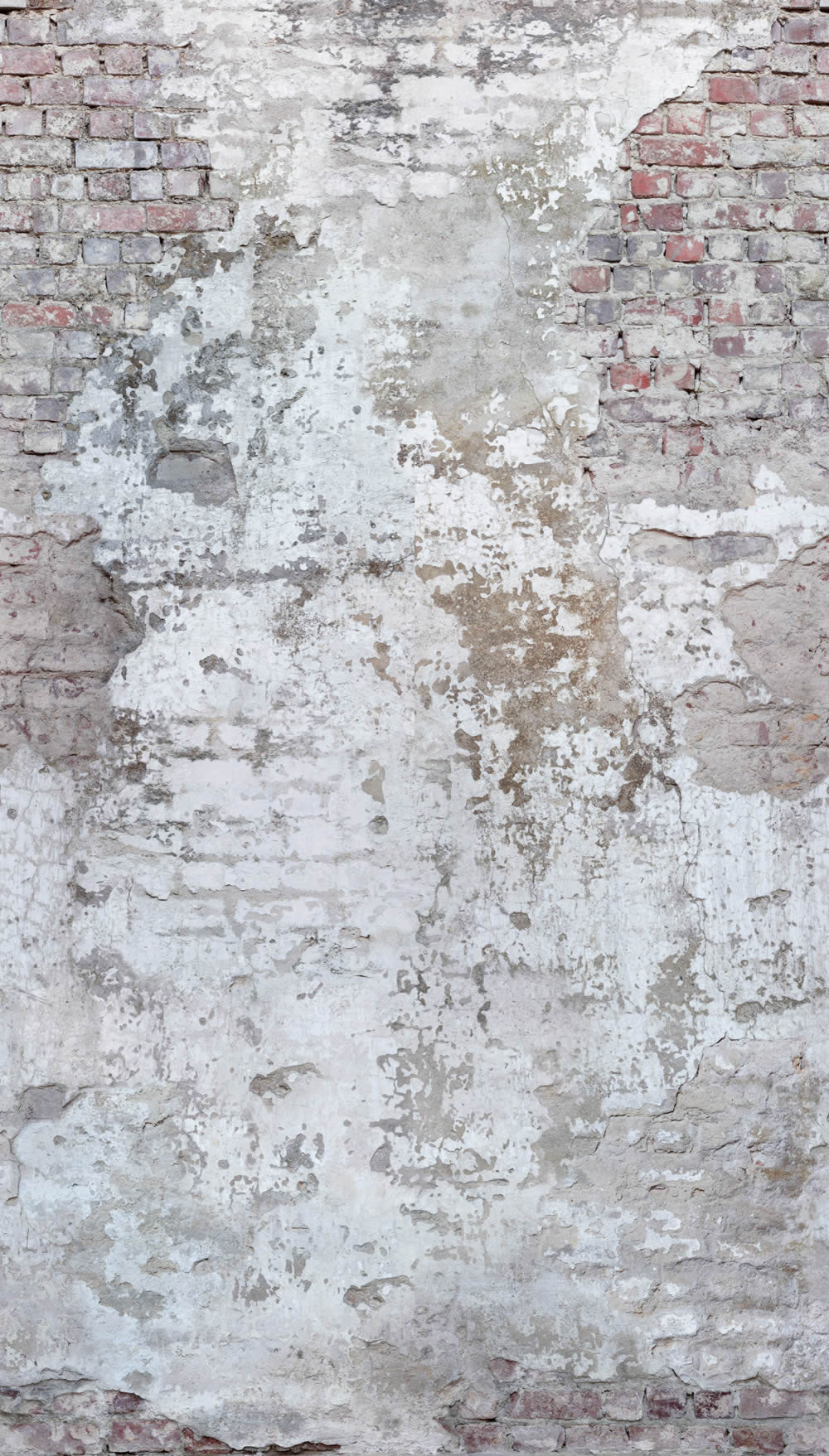 Wandbild 1,59 x 2,80 m Betontapete Steine Industrie Ziegel A42301