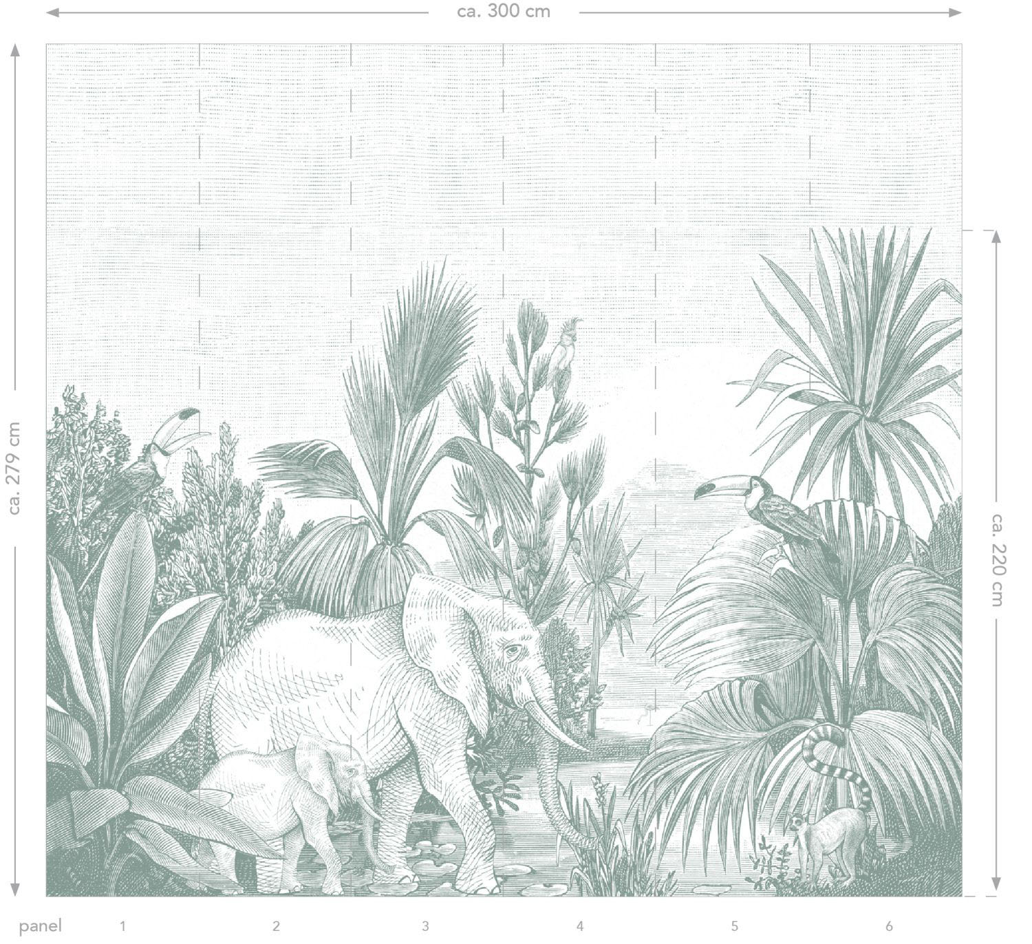 Wandbild Dschungeltiere Elefanten grün 300 x 279 cm 159060