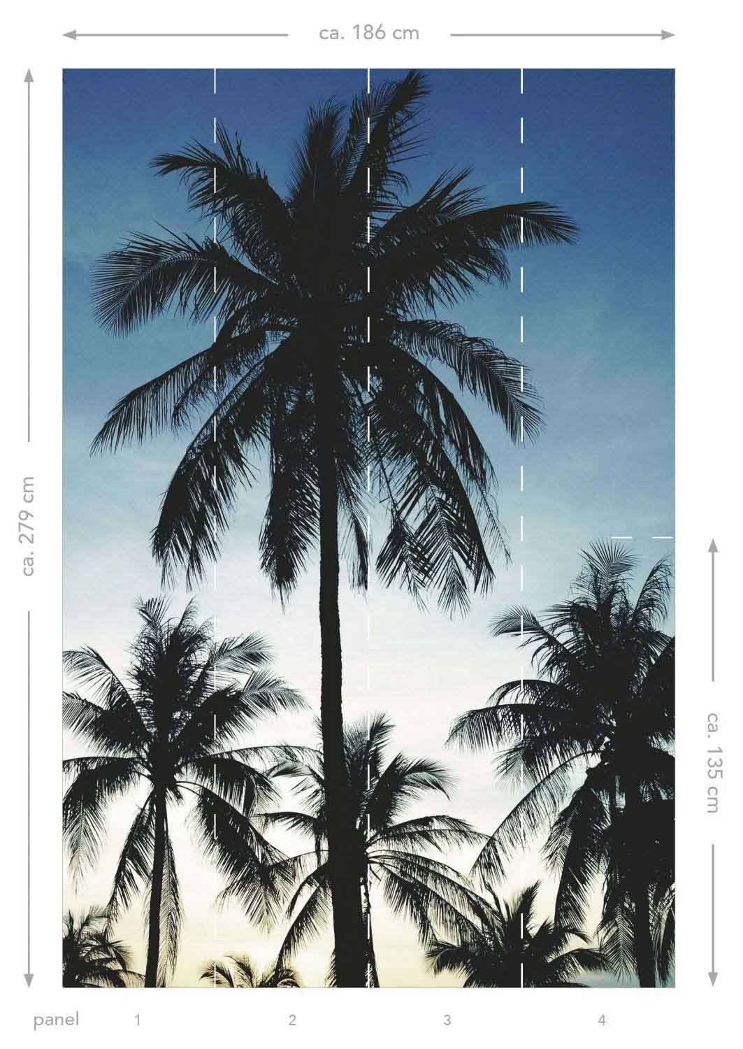 Wandbild Palmen Beach House 186 x 279 cm 158849