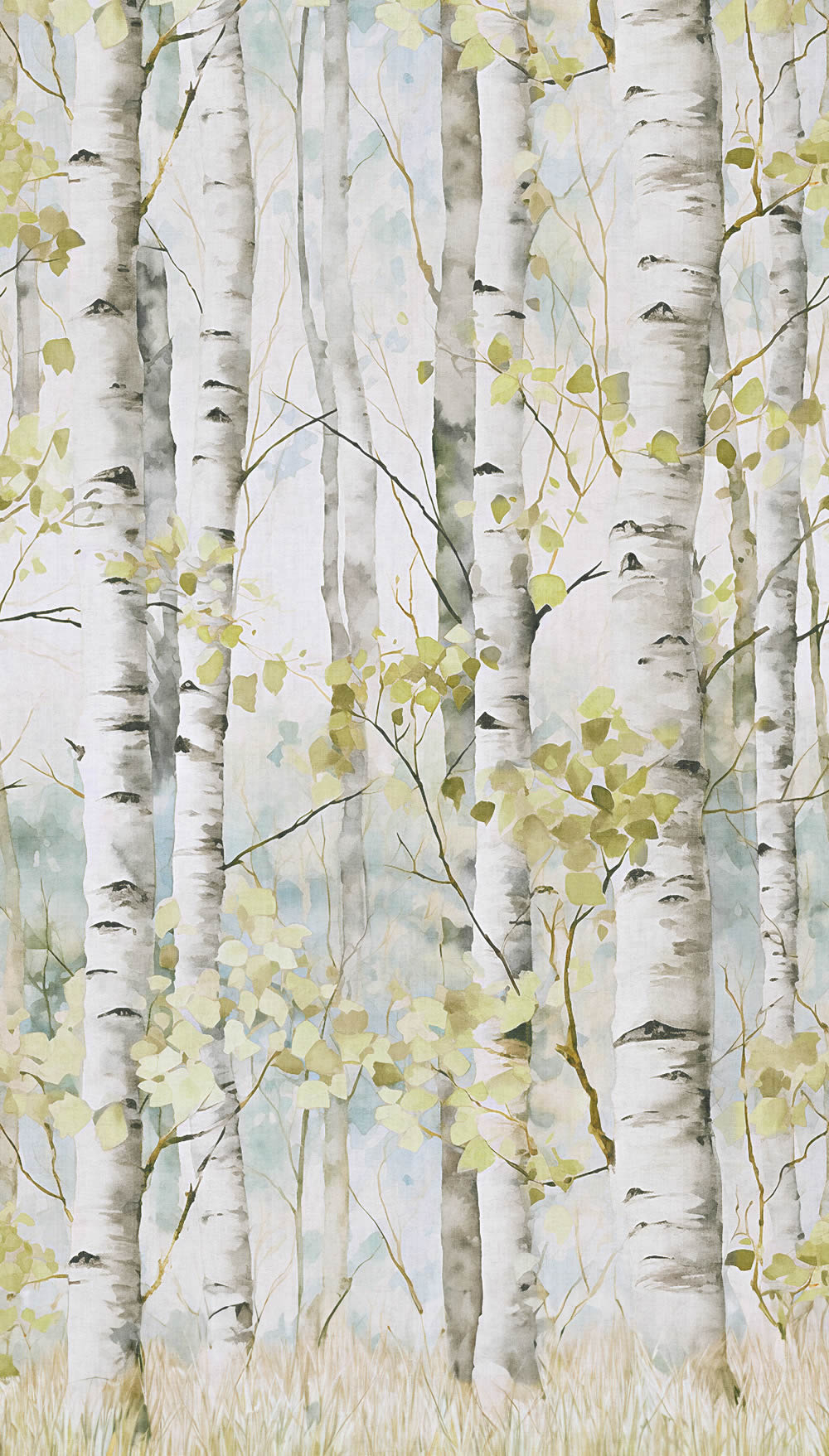 Wandbild 1,59 x 2,80 m Birkenwald Bäume Lichtung Waldtapete A77301