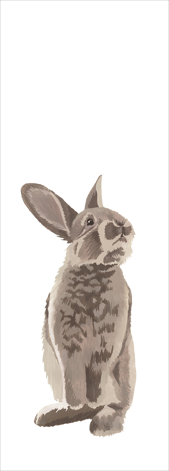Wandbild Hase Vlies weiß 100 x 279 cm 159052