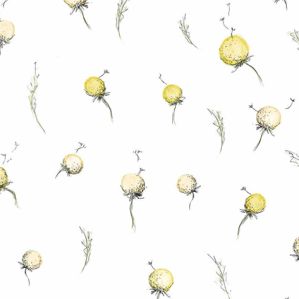 Floral non-woven wallpaper nature dandelion delicate yellow Hohenberger 27559-HTM