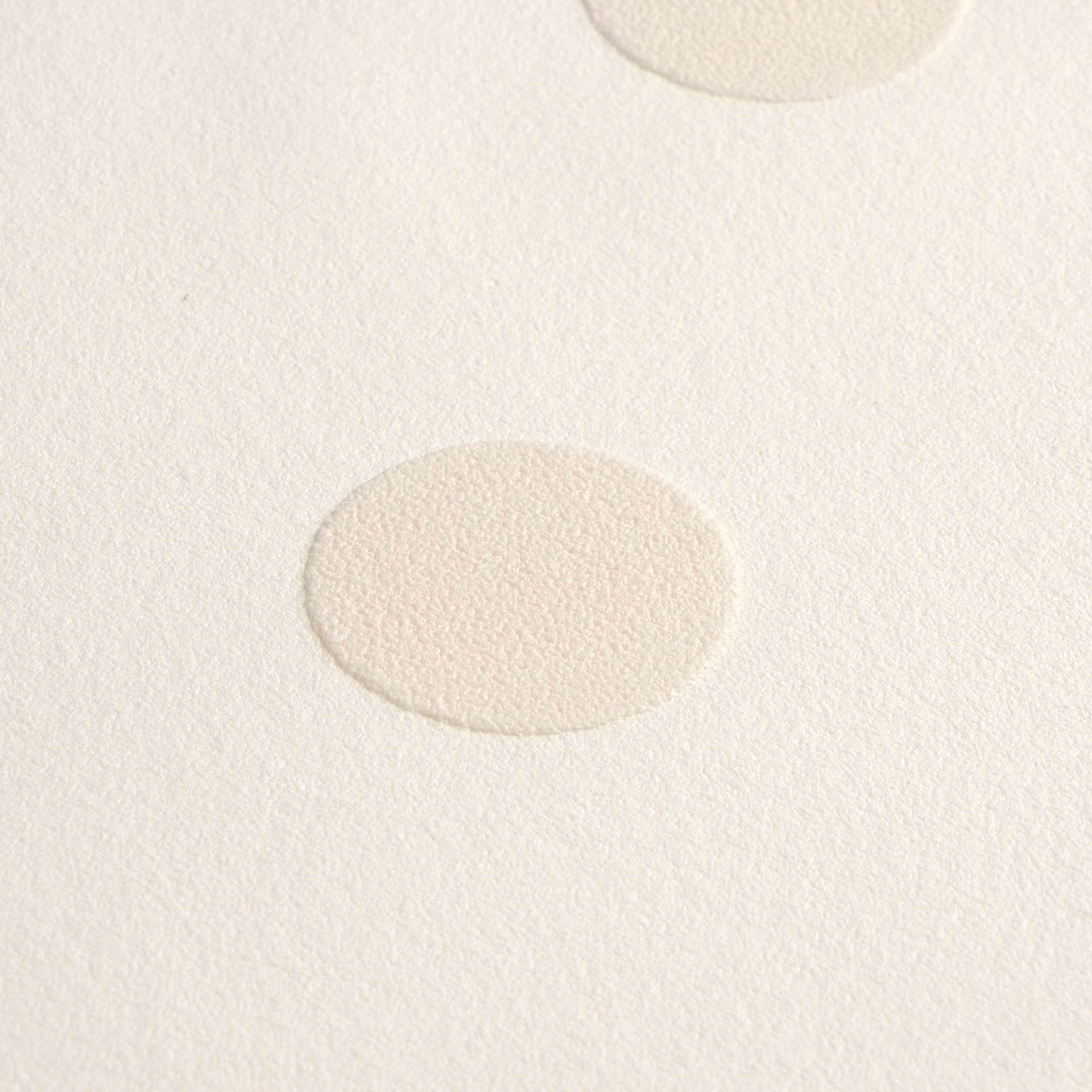 Tapete Punktetapete Kreise beige cremeweiß Vlies 363362