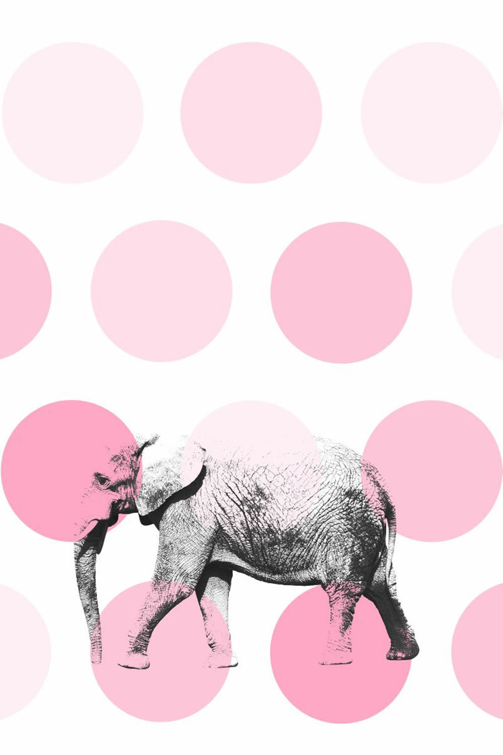 Elephant mural Rosa Xl-23-158708_2