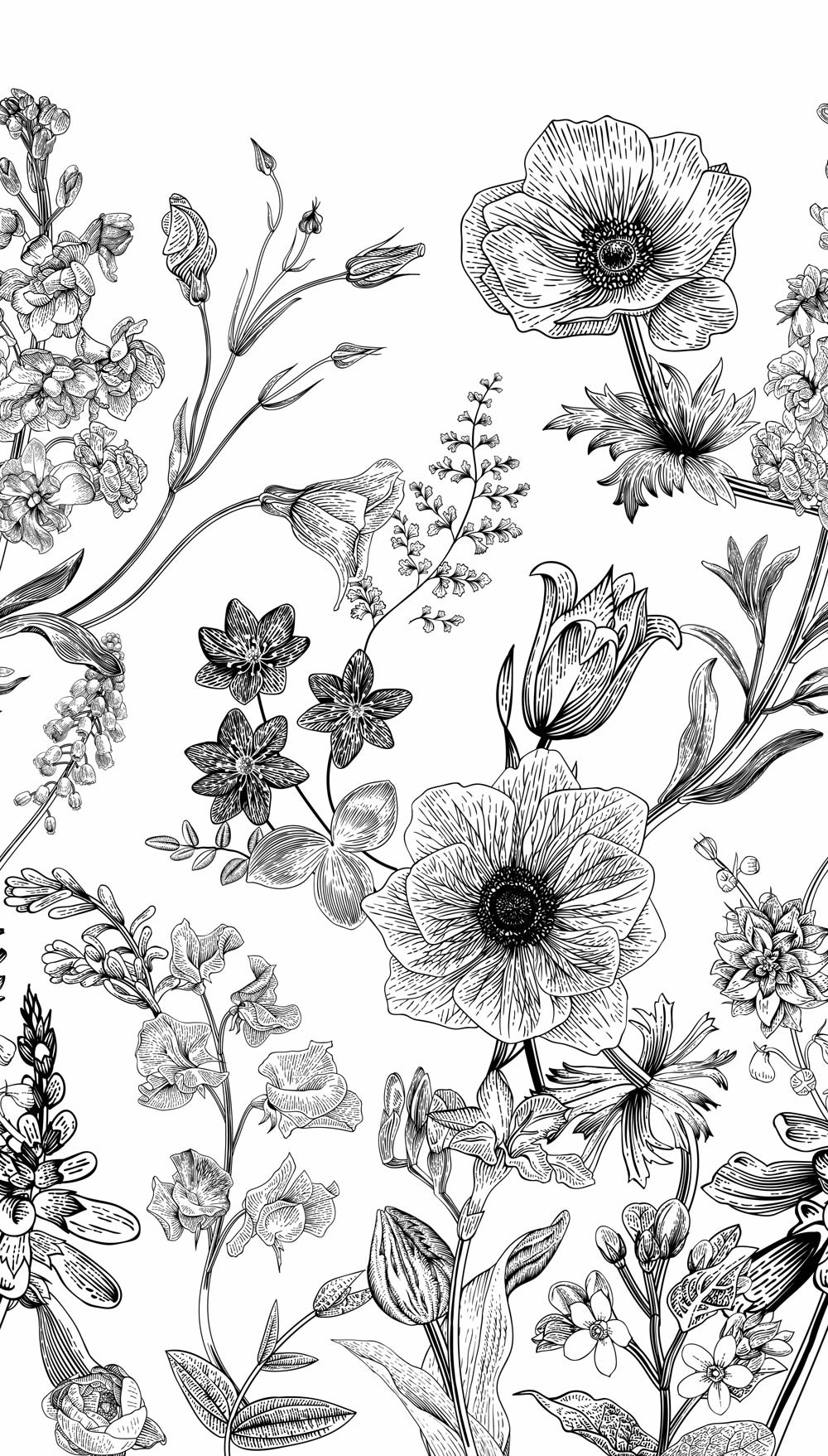 Florales Wandbild 159 x 280 cm Blumen schwarz weiß ML1601