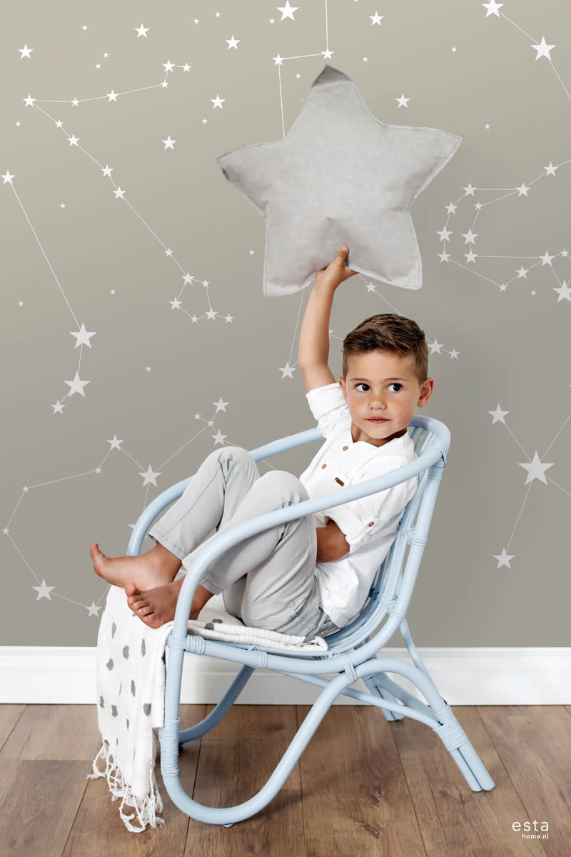 Mural Gray Star Xl-23-058705_2