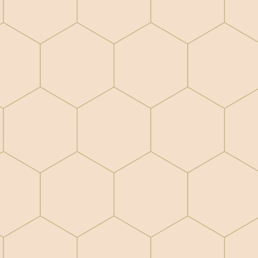 Tapete Waben geometrisch pfirsichrosa Vlies 139226