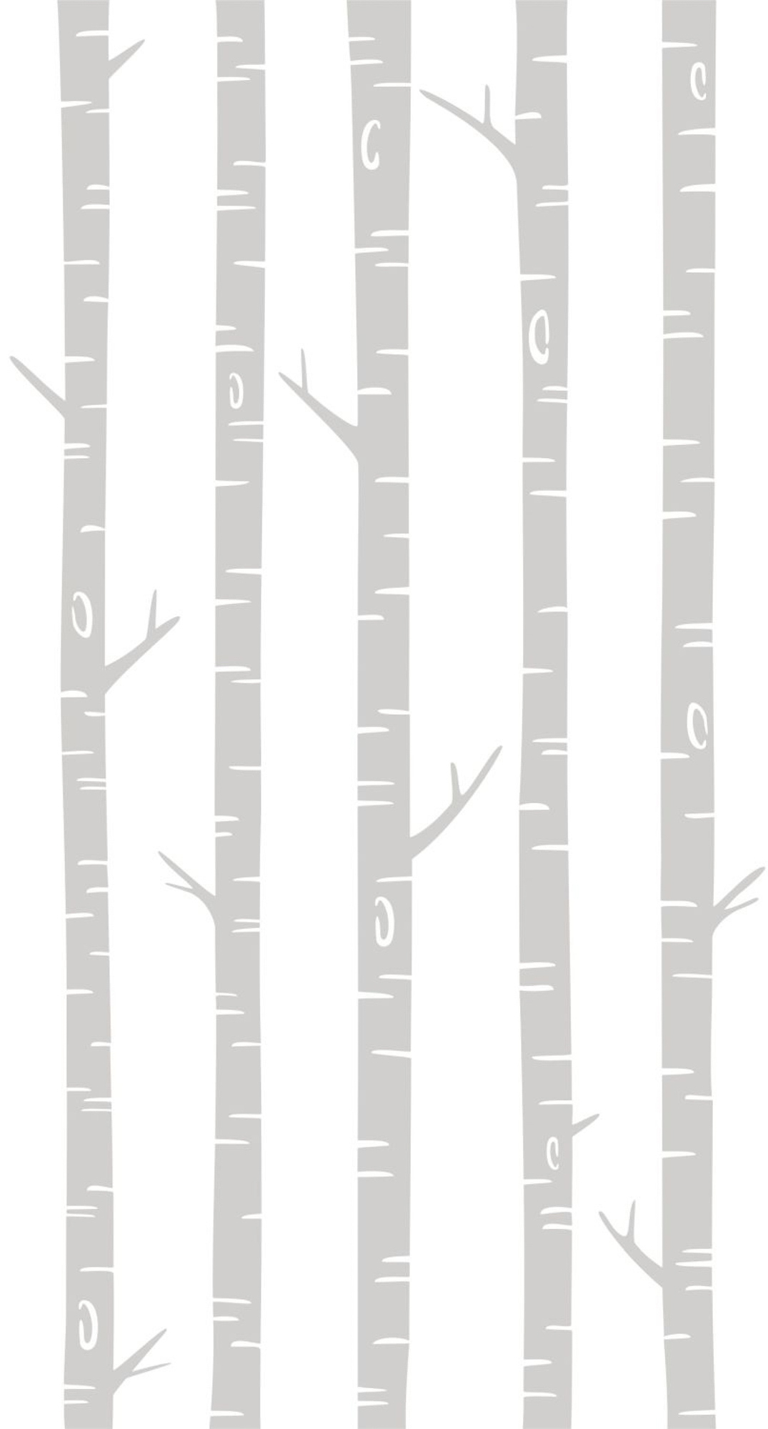 Wandbild Birkenstämme grau weiß 150 x 279 cm 158924