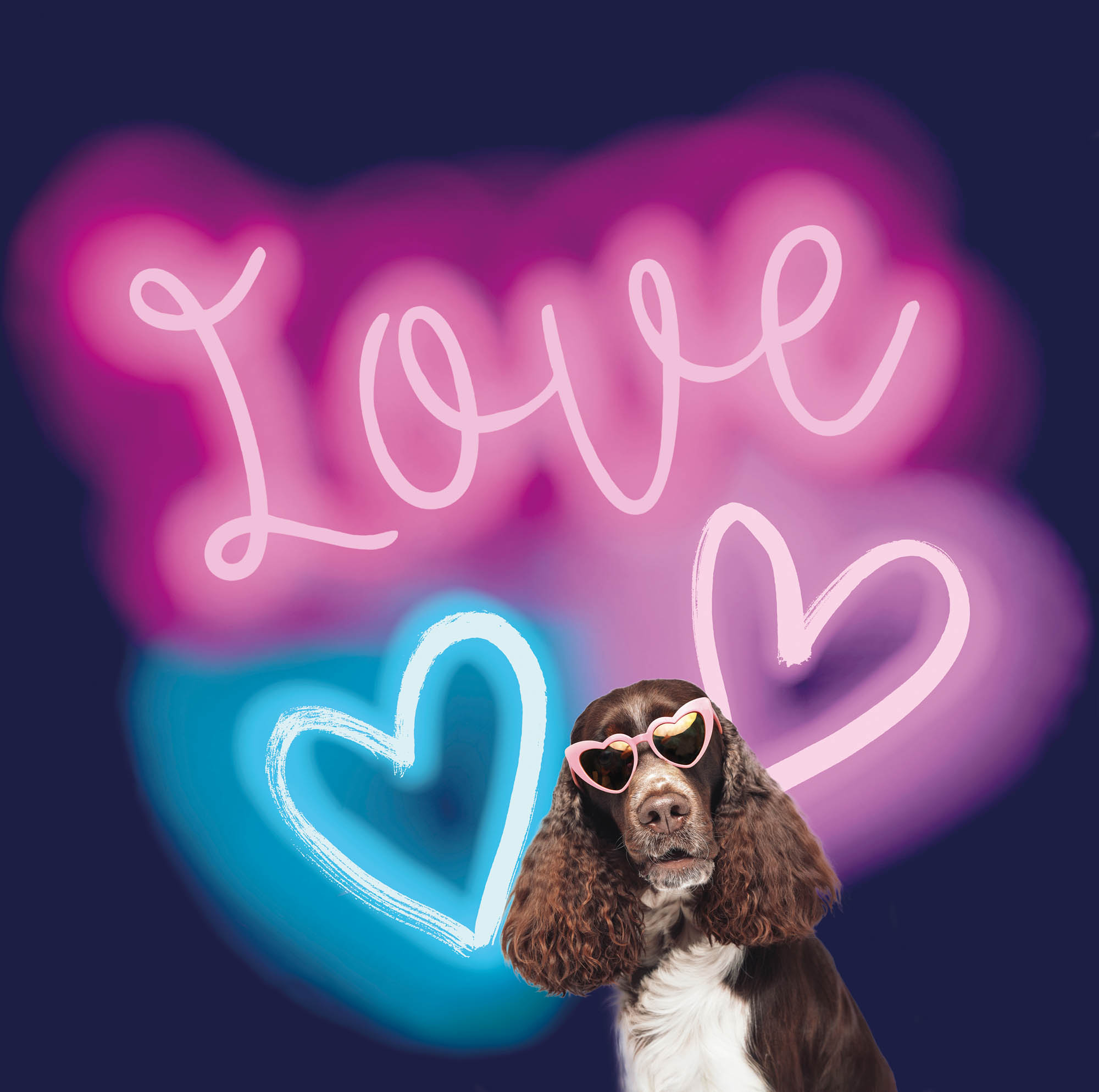 Wandbild Love Neonschrift schwarz 318 x 250 cm G45471