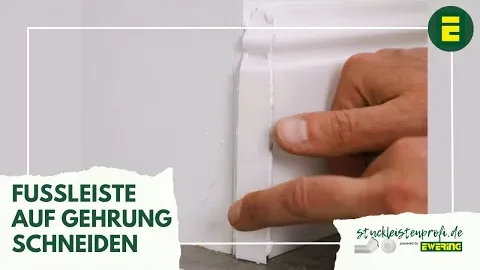 Video anzeigen