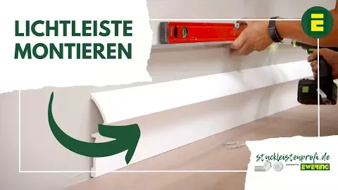 Video anzeigen