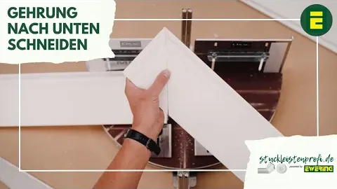 Video anzeigen
