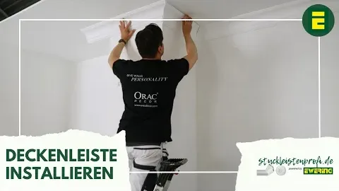 Video anzeigen
