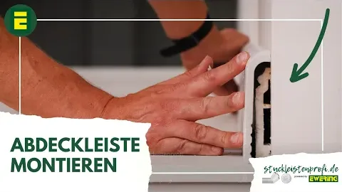 Video anzeigen