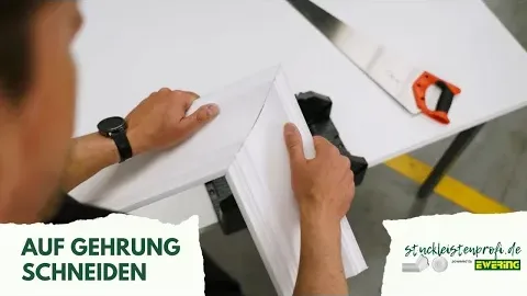 Video anzeigen