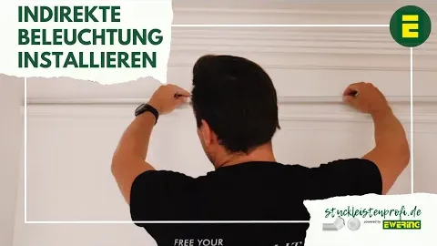 Video anzeigen