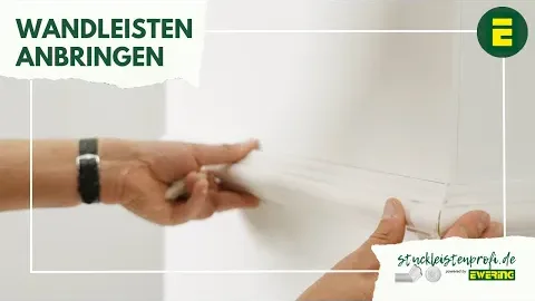 Video anzeigen