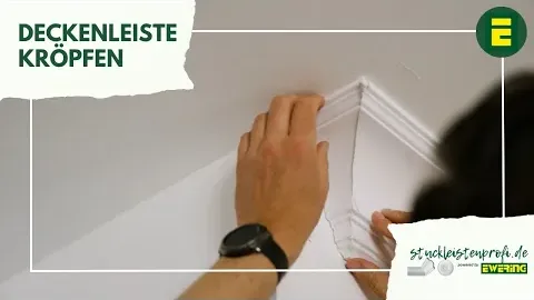 Video anzeigen
