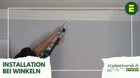 Video anzeigen