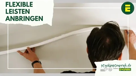 Video anzeigen