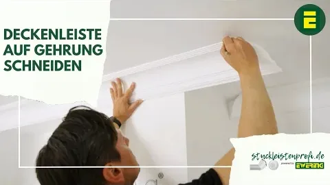 Video anzeigen